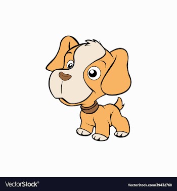 cute little dog animal