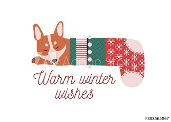 Cute little dog sleeping in Christmas stocking