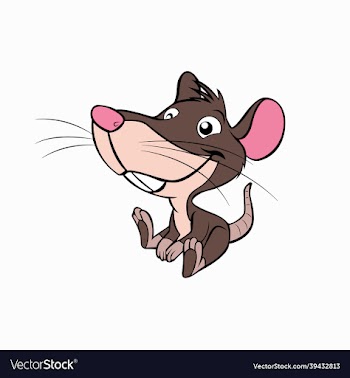cute little mouse animal