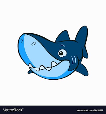 cute little shark animal
