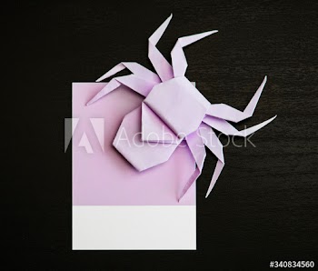 Cute little spider on a paper