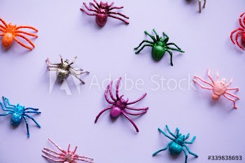 Cute little spiders on a paper