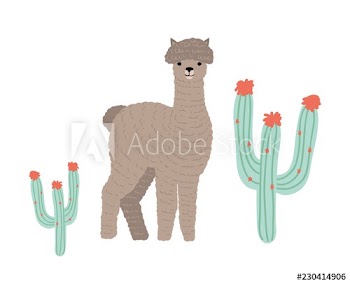 Cute llama or cria isolated on white background