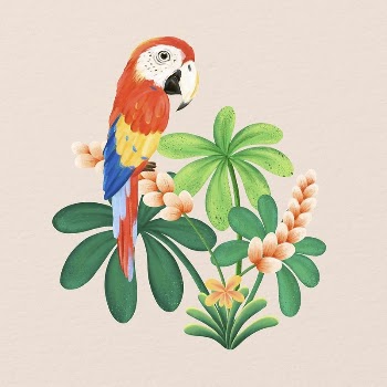 Cute macaw, animal illustration | Free Photo Illustration - rawpixel