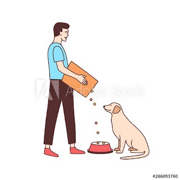 Cute male volunteer feeding stray dog in animal shelter or pound