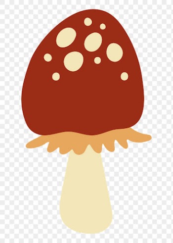 Cute mushroom png sticker, nature | Free PNG Sticker - rawpixel