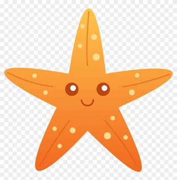 Cute Orange Starfish - Starfish Clipart