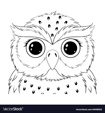 cute owl