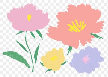 Cute pastel colored flower png botanical illustration