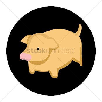 Cute pig