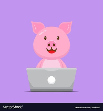 cute pig working with laptop