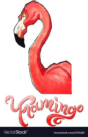 Cute pink flamingo vector image