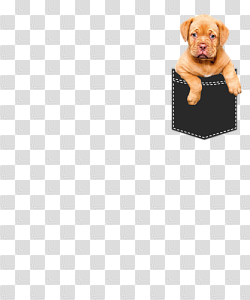 Cute Pocket Puppy Dog by subtlegeekclothing | Inktale