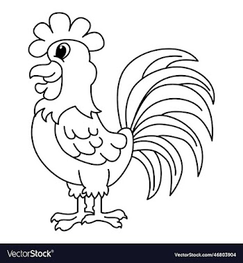 cute rooster cartoon coloring page for