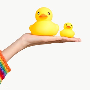 Cute rubber ducks on a hand design element | Free  transparent png - 2299585