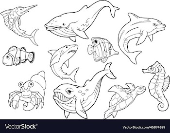 cute sea creatures