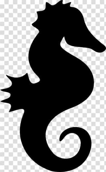 Cute Seahorse