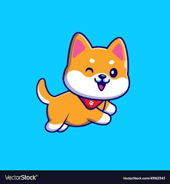 cute shiba inu dog running and wearing scarf