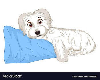 cute sleeping dog