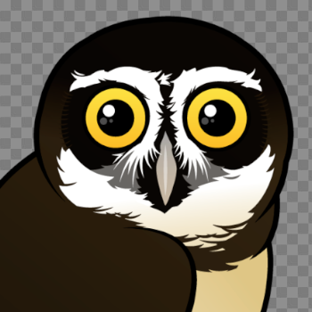 Cute Spectacled Owl by Birdorable < Meet the Birds