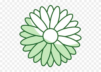 Cute Sunflower Isolated Icon - Notre Dame Rose Window Drawing