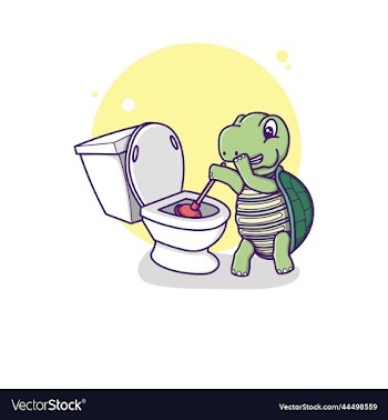 cute turtle cleaning toilet