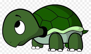 Cute Turtle Transparent Background Png Image - Animated Turtle