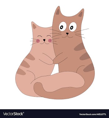 cute two cats in love animal