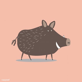 Cute wild boar cartoon illustration | Free stock vector - 477062