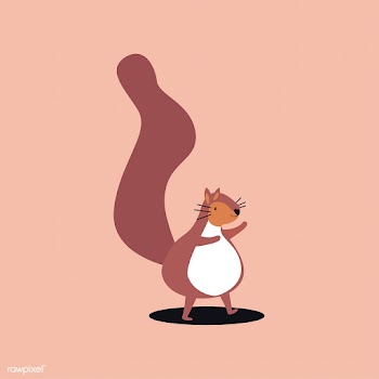 Cute wild brown squirrel cartoon illustration | Free stock vector - 477007