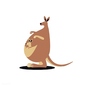 Cute wild kangaroo cartoon illustration | Free stock vector - 477166
