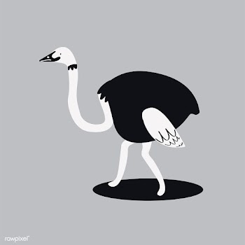 Cute wild ostrich cartoon illustration | Free stock vector - 477108