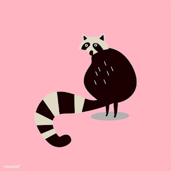 Cute wild raccoon cartoon illustration | Free stock vector - 477163