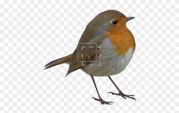 Cutout People - House Sparrow