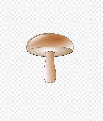 Cutting Boards Computer Icons Glass Cutting Board Glass Chopping Board Food - where to purchase mushroom compost 