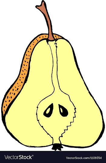 Cutting pear vector image
