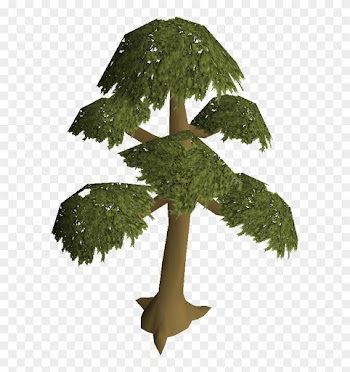 Cutting Yew Logs - Yew Tree Runescape 2007