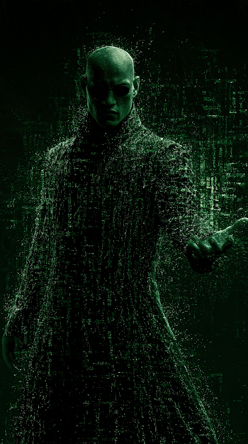Cybernetic Entity in a Digital Matrix