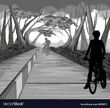 Cycling in the park vector image
