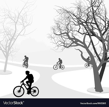 Cycling outdoor vector image