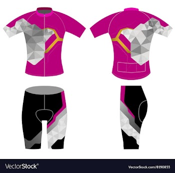 Cycling vest low poly scene vector image