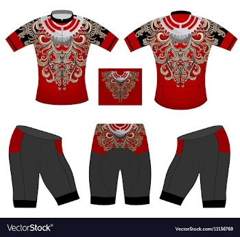 Cycling vest pattern vector image