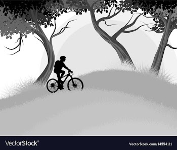 Cycling woman in the forest vector image