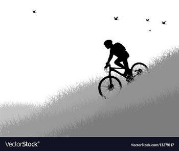 Cycling woman vector image