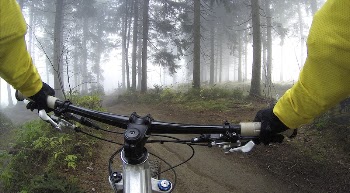 Cyclist in a misty woods. | Free Photo - rawpixel