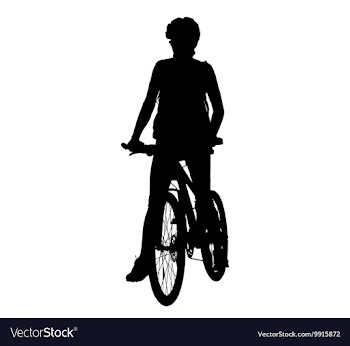 Cyclist woman vector image