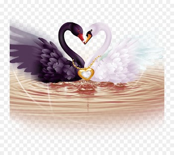 Cygnini Diamond Painting Cross-stitch Mosaic - swan 