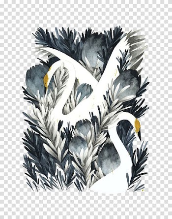 Cygnini Drawing Painting Illustration, Ink White Swan transparent background PNG clipart