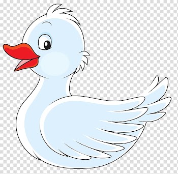 Cygnini Duck, White swan transparent background PNG clipart