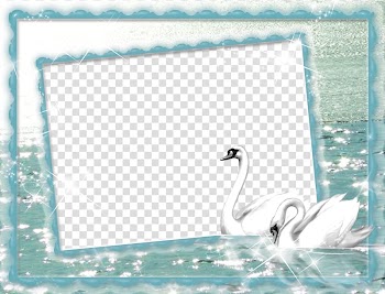 Cygnini Frames, swan transparent background PNG clipart